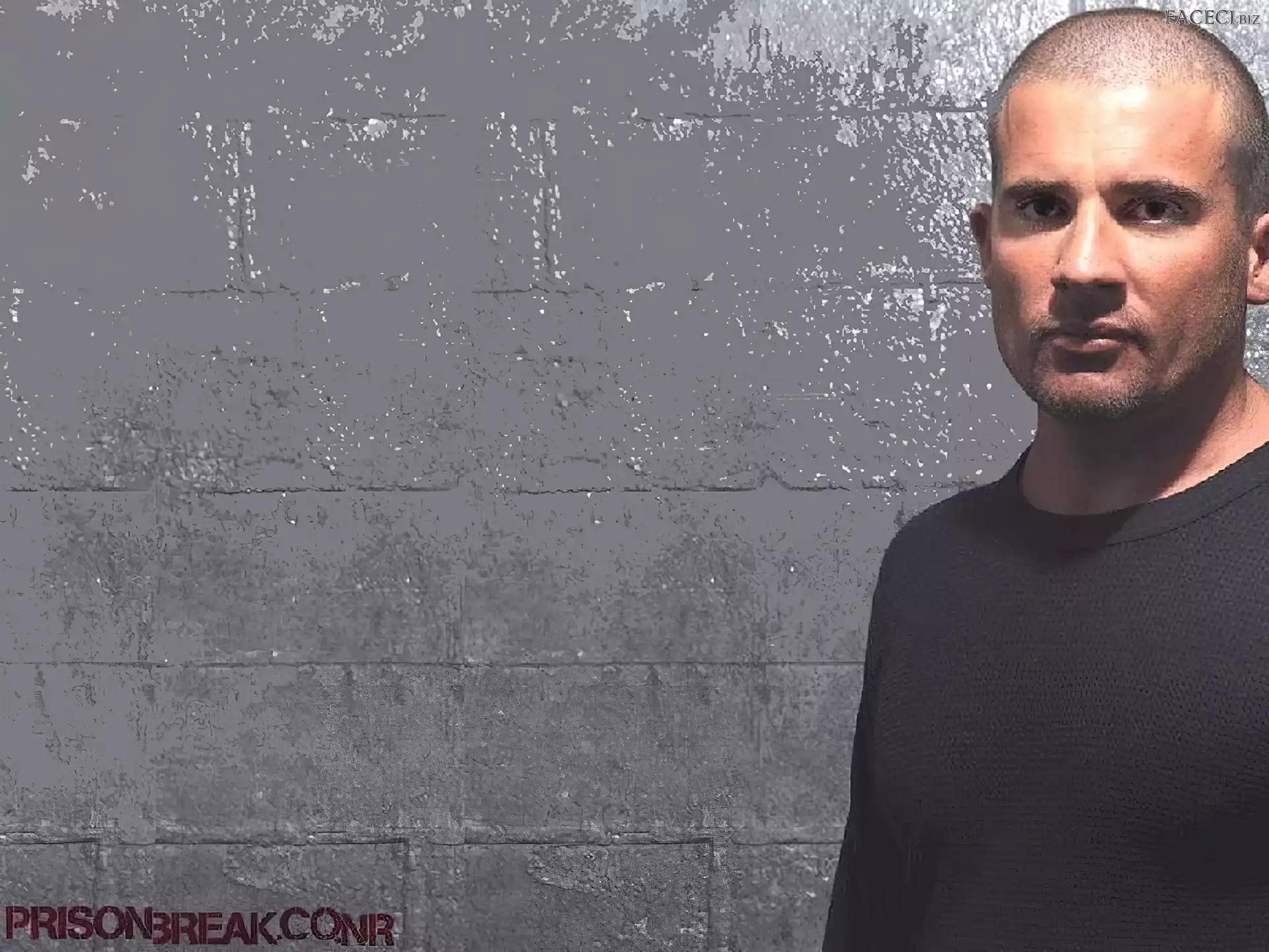 czarna bluzka, Dominic Purcell